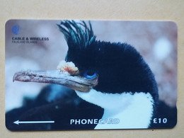 T-319 - FALKLAND ISLANDS, PHONECARD, ANIMAL, BIRD, OISEAU, - Falkland Islands