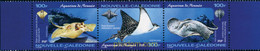 157426 MNH NUEVA CALEDONIA 2004 ACUARIO DE NOUMEA - Usados