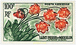 242542 HINGED SAN PEDRO Y MIQUELON 1962 FLORES - Used Stamps