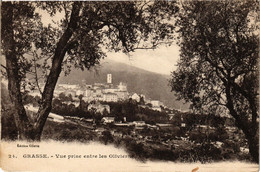 CPA GRASSE - Vue Prise Entre Les Olivier (192278) - Grasse