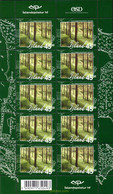 164819 MNH ISLANDIA 2005 REPOBLACION FORESTAL - Collections, Lots & Series