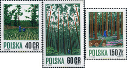167217 MNH POLONIA 1971 INDUSTRIAS FORESTALES - Unclassified