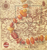 168905 MNH POLONIA 1993 POLSKA 93. EXPOSICION FILATELICA INTERNACIONAL - Sin Clasificación