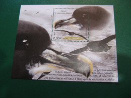 TAAF YVERT PO 1008 BLOC PETREL A MENTON BLANC NEUF** LUXE - MNH - FACIALE 2,00 EUROS - Nuevos