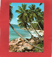 SEYCHELLES----CAPE BARBIE---La Digue--voir 2 Scans - Seychelles