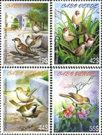 181245 MNH CABO VERDE 2005 FAUNA. AVES - Cap Vert