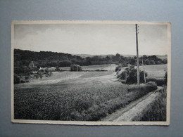 Roisin - Panorama - Honnelles