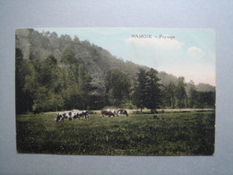 Hamoir - Paysage - Hamoir