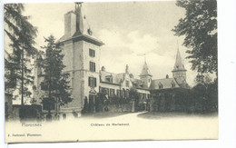 Florennes Château De Merlemont ( Philippeville ) - Philippeville