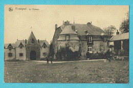 * Rossignol (Tintigny - Luxembourg - La Wallonie) * (Nels, Editeur Claude Pieriot) Le Chateau, Kasteel, Schloss, Castle - Tintigny