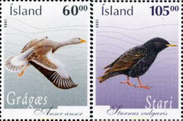 186977 MNH ISLANDIA 2005 AVES - Collections, Lots & Séries