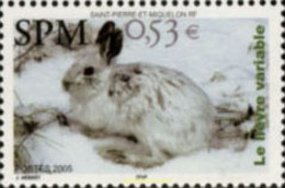 187386 MNH SAN PEDRO Y MIQUELON 2005 LA LIEBRE VARIABLE - Used Stamps