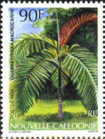 188246 MNH NUEVA CALEDONIA 1994 FLORA INDIGENA. PALMERA - Usados