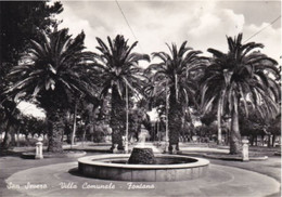 SAN SEVERO - FOGGIA - VILLA COMUNALE CON PALME E FONTANA - 1958 - San Severo