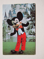 CPA USA Floride Orlando Walt Disney World 1976 - Orlando