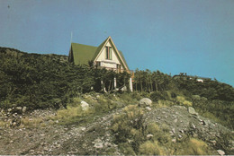 SAINT PIERRE ET MIQUELON - Terre Française En Amérique Du Nord -"Savoyard" Quartier Résidentiel De St Pierre - Saint-Pierre-et-Miquelon