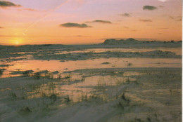 SAINT PIERRE ET MIQUELON - Saint Pierre - Coucher De Soleil Sur Savoyard - Saint-Pierre-et-Miquelon