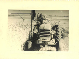 151122 - PHOTO ANCIENNE - TRACTEUR Immatriculé 688EY38 Agriculture Paysan Moisson Blé - Tractores