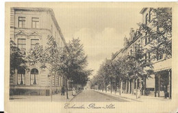 Eschweiler . ROSEN .ALLEE  EN 1919 - Eschweiler