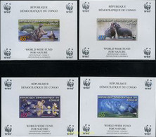 200820 MNH CONGO. República Democrática 2006 WWF - Oblitérés