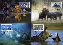 200847 MNH CONGO. República Democrática 2006 WWF - Afgestempeld