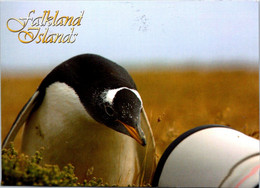 (2 M 8) Falkland Islands (posted To Australia From UK) - Gento Penguin - Isole Falkland