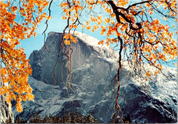 (2 M 8) USA - Yosemite Valley - Yosemite