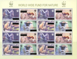 214901 MNH SIERRA LEONA 2008 MONOS - Chimpansees