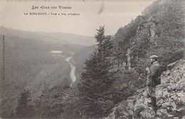 CPA FRANCE - 88 - Col De La Schlucht - Vue à Vol D'oiseau - LES COLS DES VOSGES - Homme Admirant Le Paysage - Other & Unclassified