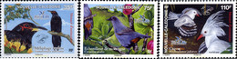 225070 MNH NUEVA CALEDONIA 2007 AVES AUTOCTONOS - Gebruikt