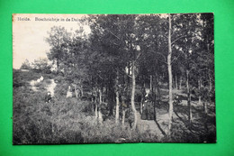 Heide 1910: Boschzicht In De Duinen Animée - Kalmthout