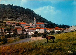 Rochepaule * Vue Générale Sur Le Village - Andere & Zonder Classificatie