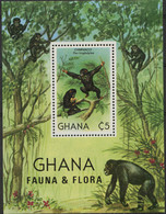 231435 MNH GHANA 1982 FAUNA Y FLORA - Scimpanzé