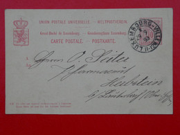 BI 9 LUXEMBOURG  BELLE  CARTE   RECOM. ENTIER RR  1893 A HERBSTEIN   +AFF. INTERESSANT - Entiers Postaux