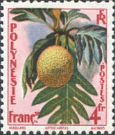 232618 MNH POLINESIA FRANCESA 1959 FRUTOS - Gebraucht