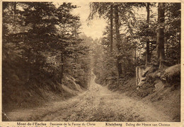 CPSM -   Mont - De - L' Enclus   (Hainaut)  Descente De La Ferme Du Christ  -  Kluisberg.  Daling Der Hoeve Van Christus - Kluisbergen