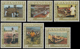 698/703** - Année De La Production / Jaar Van De Productie / Baujahr / Year Of Production - RWANDA - Legumbres