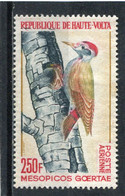 HAUTE VOLTA   N°  18  PA (Y&T)  (Neuf Sans Gomme)  (Poste Aérienne) - Haute-Volta (1958-1984)