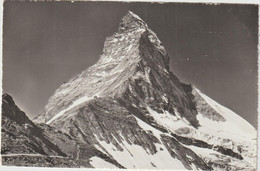 Suisse :  ZERMATT , Matterhorn - Matt