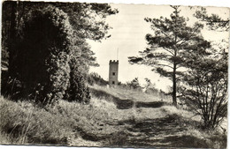 CPA Boissy-La-Riviére (Saine-et-Oise) La Tour De L'Auberge (172090) - Boissy-la-Rivière
