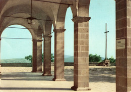 SACRO MONTE DE LA VERNA - CARTOLINA FG SPEDITA NEL 1957 - IL PORTICATO DELLA BASILICA ED IL QUADRANTE - Arezzo