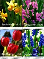 250100 MNH SAN MARINO 2010 FLORES - Usati