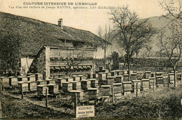 Les Marches * Joseph RAVIER Apiculteur , Culture Intensive De L'abeille , Un Rucher * Apiculture Miel Ruche - Andere & Zonder Classificatie