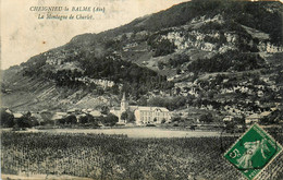 Cheignieu La Balme * Panorama Sur La Montagne De Charlet - Unclassified