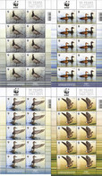 256335 MNH ISLANDIA 2011 GANSOS Y PATOS - Collections, Lots & Series