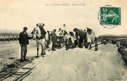 Hyères * Les Salins * La Récolte Du Sel * Marais Salants * Attelage - Hyeres