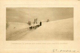 St Amarin ( éditeur Paul Ehkirch & Cie ) * Traineaux à Chiens Polaires Sur Les Hautes Vosges * Voiture à Chien Attelage - Saint Amarin