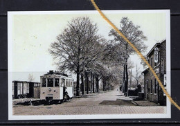 PHOTO  TRAM  LEUVEN DIEST REPRO - Tramways