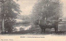 CPA - FRANCE - 91 - BRUNOY - Prairie Du Bord De L'Yerres - Vache - Cloche - Ray Mercerie Brunoy - Brunoy