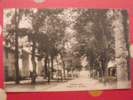 Delcampe - Charente. 16. Confolens. Allées De Blossac - Confolens